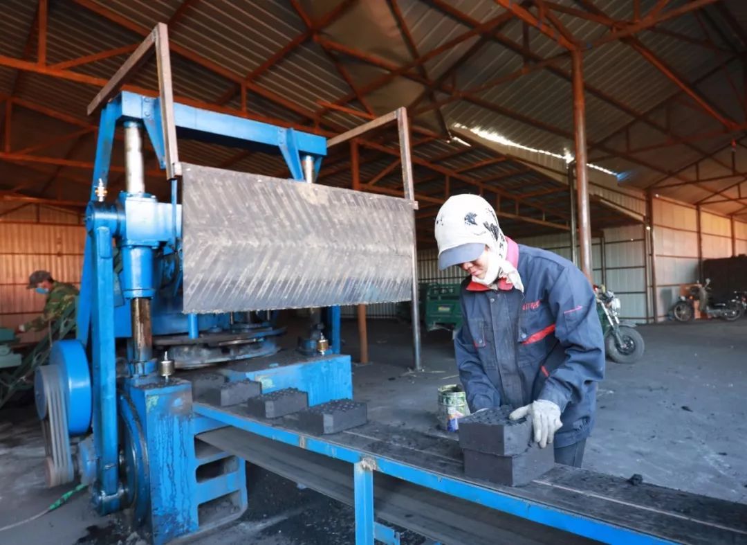 哈爾濱型煤廠家